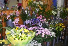 Florists, Flowers, Devon